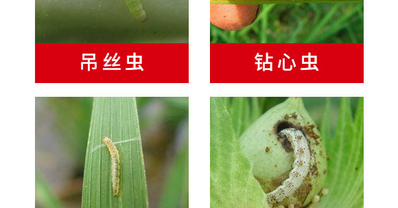 ���Ժ��x���ýM���ײ�-혈��r(n��ng)�I(y��)