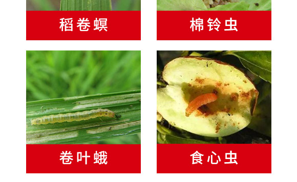 ���Ժ��x���ýM���ײ�-혈��r(n��ng)�I(y��)