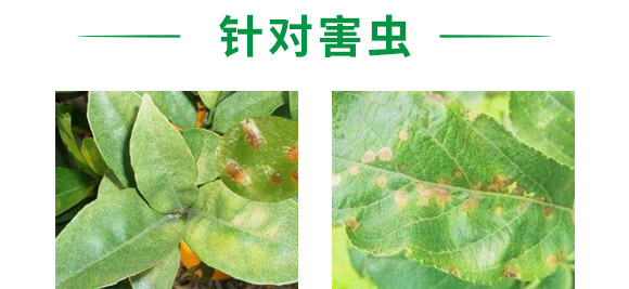 ��M���ײ�-혈��r(n��ng)�I(y��)