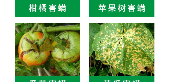 ��M���ײ�-혈��r(n��ng)�I(y��)