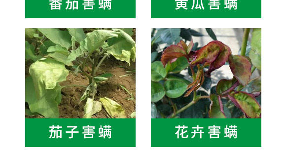 ��M���ײ�-혈��r(n��ng)�I(y��)