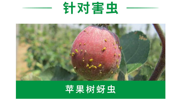 吡蟲啉-順堯農(nóng)業(yè) 吡蟲啉-順堯農(nóng)業(yè)