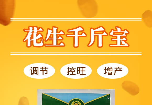 花生千斤寶-花多收-三禾肥業(yè) 花生千斤寶-花多收-三禾肥業(yè)