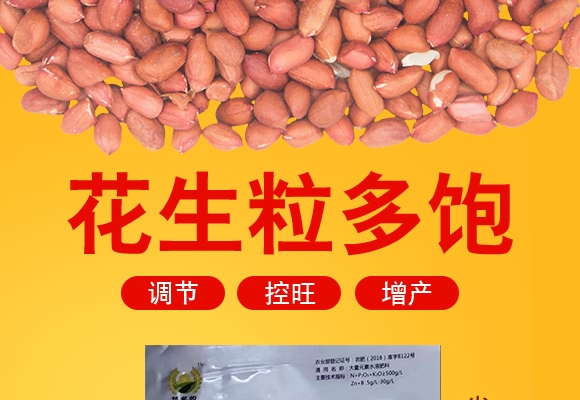 高硼高鉬型花生粒多飽-花多收-三禾肥業(yè) 高硼高鉬型花生粒多飽-花多收-三禾肥業(yè)