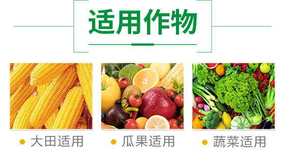 澶嶅悎寰敓鐗╂湁鏈鴻偉-鍦熷懄鍛?榪柉鏇糭03.jpg 澶嶅悎寰敓鐗╂湁鏈鴻偉-鍦熷懄鍛?榪柉鏇糭03.jpg