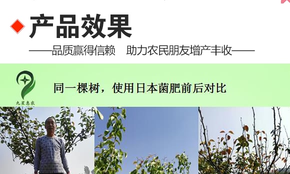 微生物土壤改良材-九星惠農(nóng)