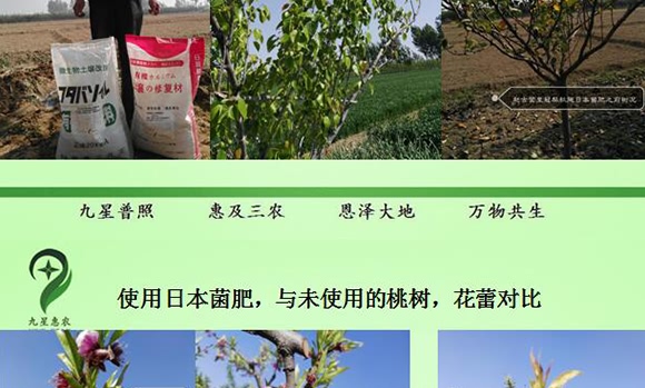 微生物土壤改良材-九星惠農(nóng)
