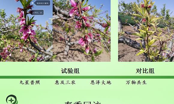 微生物土壤改良材-九星惠農(nóng)