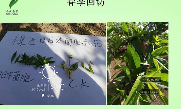 微生物土壤改良材-九星惠農(nóng)