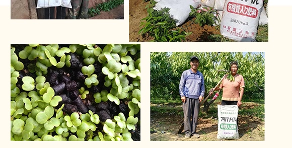 微生物土壤改良材-九星惠農(nóng)