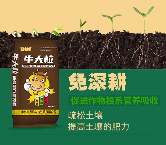 ��ǵ��נI�B(y��ng)Һ-ţ����-���Wɭ