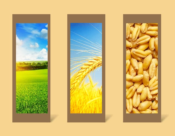 ��ǵ��נI�B(y��ng)Һ-ţ����-���Wɭ