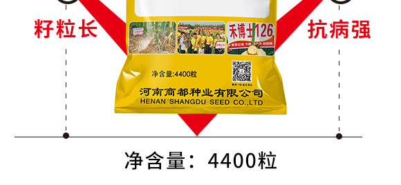 禾博士126-玉米種子-商都種業(yè) 禾博士126-玉米種子-商都種業(yè)