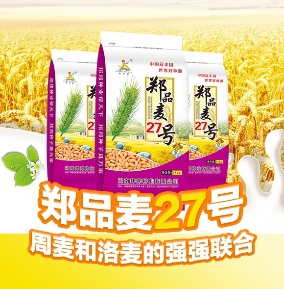 鄭品麥27號-小麥種子-邦邦種業(yè)