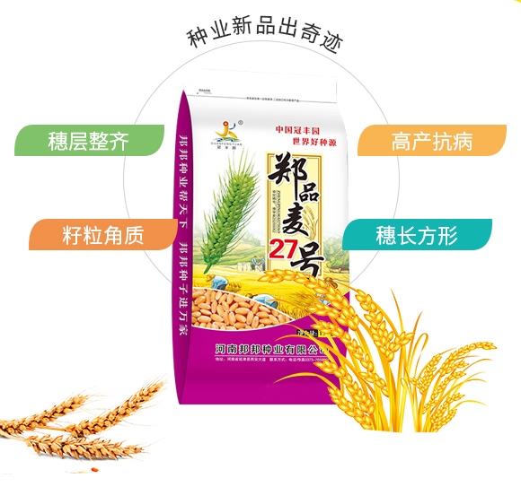 鄭品麥27號-小麥種子-邦邦種業(yè)