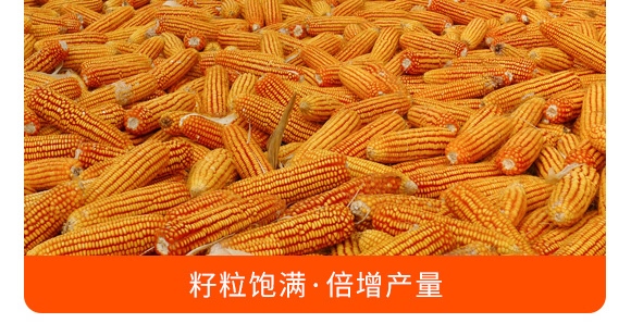 �������28-10-12���tɫ��-���S