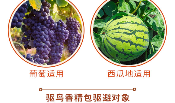 驅(qū)鳥香精包-鳥克-艾豐生物