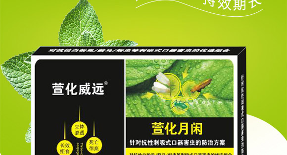 萱化月閑-萱化威遠(yuǎn)