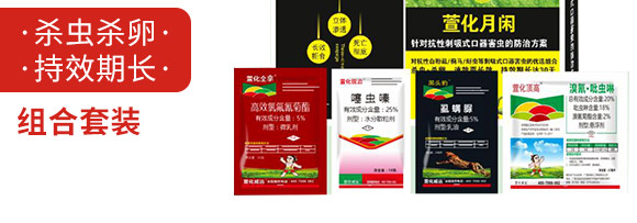 萱化月閑-萱化威遠(yuǎn)