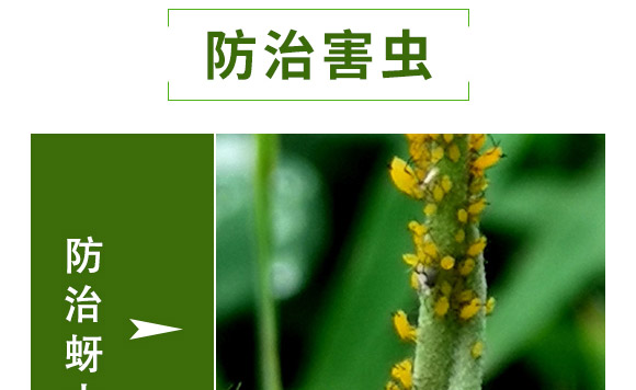 萱化月閑-萱化威遠(yuǎn)