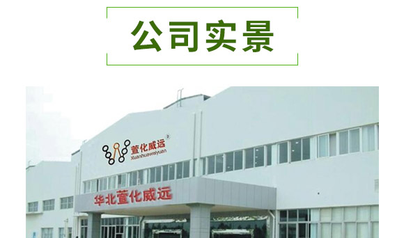 萱化月閑-萱化威遠(yuǎn)