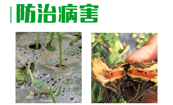 3%��˪���fù�`ˮ��-�o(h��)��-�L(zh��ng)�p�r(n��ng)ˎ