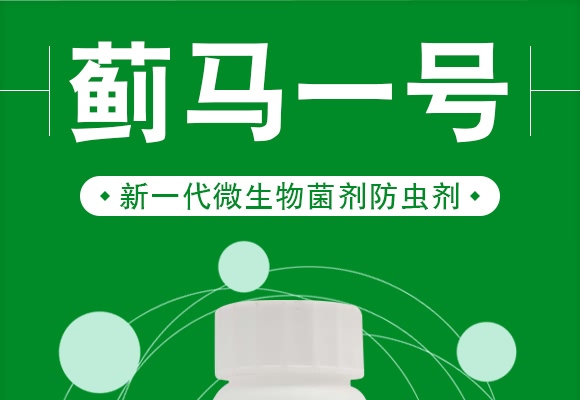 �E�Rһ̖-����ɭ