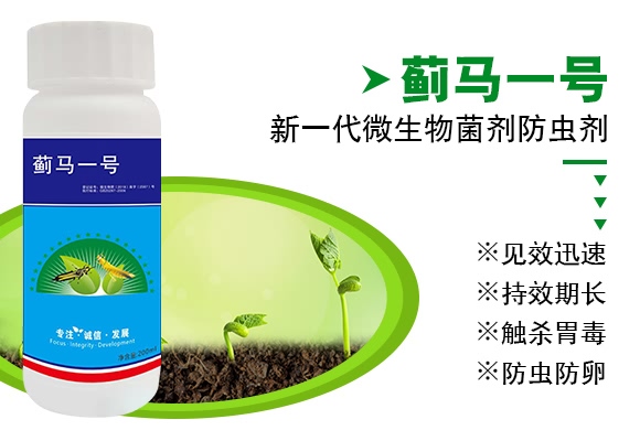 �E�Rһ̖-����ɭ