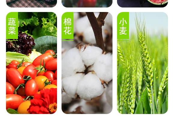 桃蚜一號(hào)-德瑞森 桃蚜一號(hào)-德瑞森