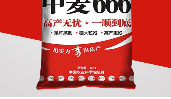 中麥666-麥種貴族-龍大種業(yè) 中麥666-麥種貴族-龍大種業(yè)