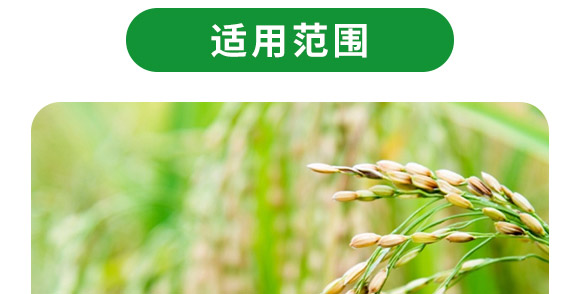 復(fù)合微生物菌劑-菌生金（2億/克）-貴天化