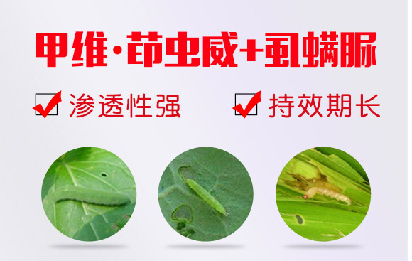 �׾S�����x��-ʭ����-����