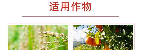 �׾S�����x��-ʭ����-����