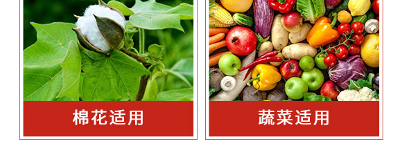 �׾S�����x��-ʭ����-����