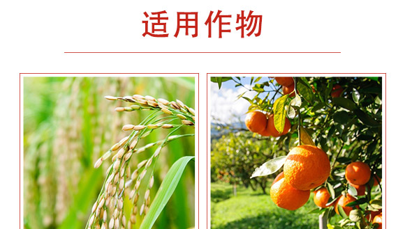 磷酸二氫鉀-利邦農(nóng)化 磷酸二氫鉀-利邦農(nóng)化