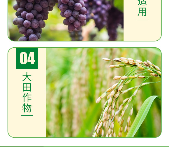 含腐殖酸水溶肥料-葉菲聚能氮-德邦葉菲 含腐殖酸水溶肥料-葉菲聚能氮-德邦葉菲