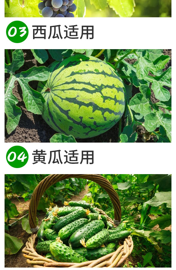 �VԴ�S�����-���_(d��)