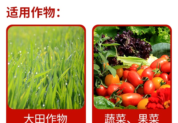 16%噻蟲嗪懸浮種衣劑-力互-艾利農(nóng) 16%噻蟲嗪懸浮種衣劑-力互-艾利農(nóng)