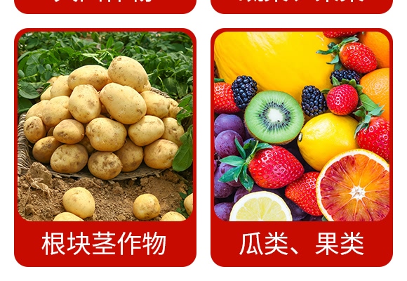 16%噻蟲嗪懸浮種衣劑-力互-艾利農(nóng) 16%噻蟲嗪懸浮種衣劑-力互-艾利農(nóng)