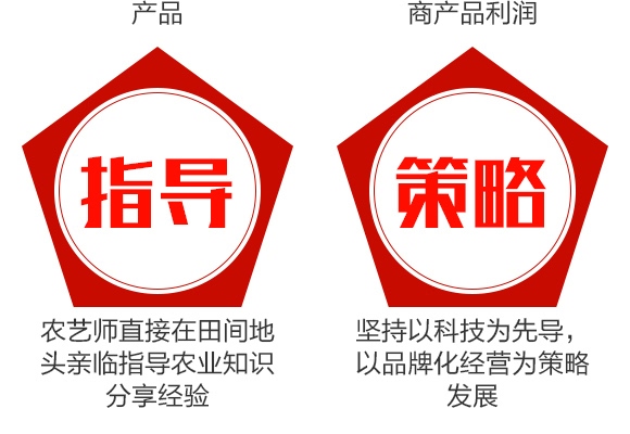 16%噻蟲嗪懸浮種衣劑-力互-艾利農(nóng) 16%噻蟲嗪懸浮種衣劑-力互-艾利農(nóng)