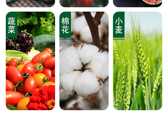 1000ml敵草快水劑-鐮刀機(jī)-土成金