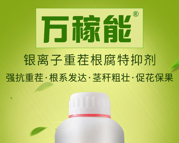 銀離子重茬根腐特抑劑-萬稼能-乾農(nóng) 銀離子重茬根腐特抑劑-萬稼能-乾農(nóng)