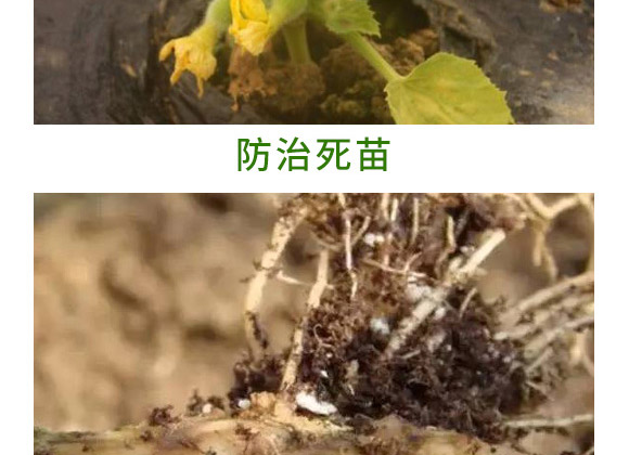 萬稼能13元素(瓶裝)-乾農(nóng) 萬稼能13元素(瓶裝)-乾農(nóng)