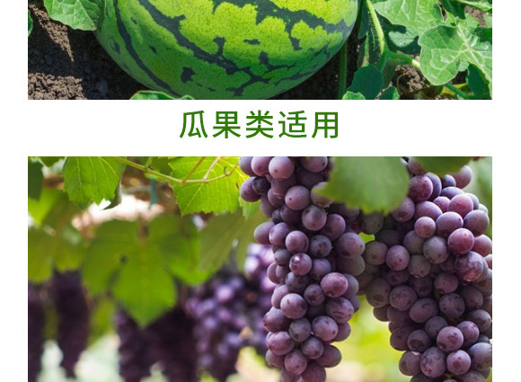 萬稼能13元素(瓶裝)-乾農(nóng) 萬稼能13元素(瓶裝)-乾農(nóng)