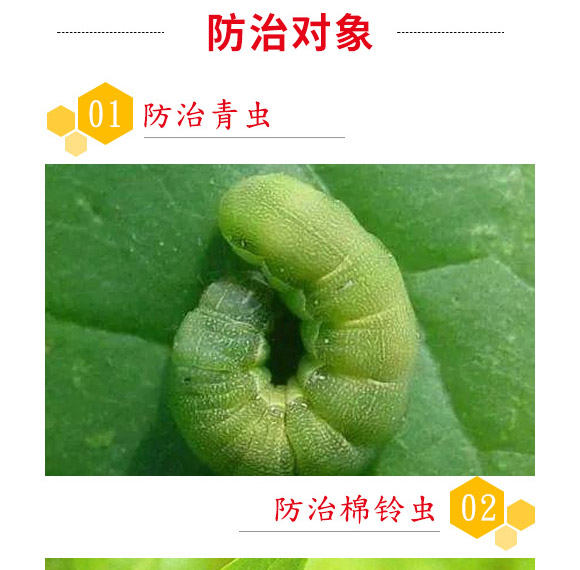 蘇云金桿菌懸浮劑-耕田人-潤(rùn)倍生物 蘇云金桿菌懸浮劑-耕田人-潤(rùn)倍生物