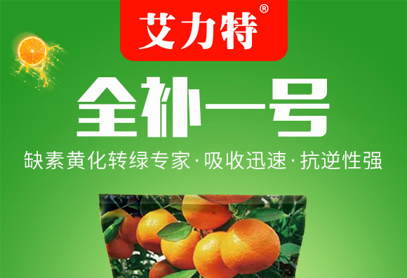 全補(bǔ)一號(hào)-艾力特-易普豐