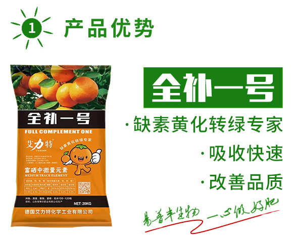 全補(bǔ)一號(hào)-艾力特-易普豐