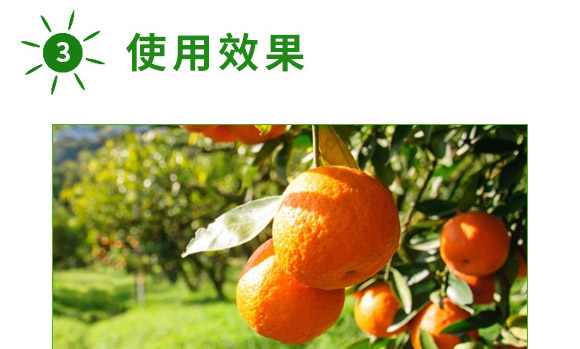 全補(bǔ)一號(hào)-艾力特-易普豐