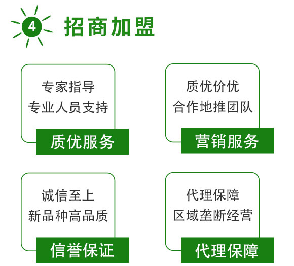 全補(bǔ)一號(hào)-艾力特-易普豐