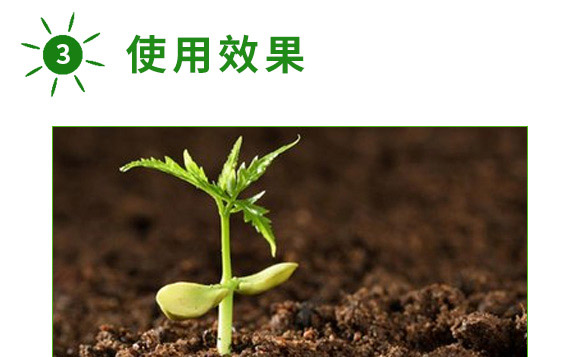 海藻+甲殼素-生根彩果-易普豐